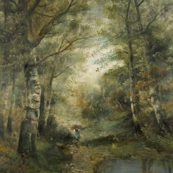A view of the forest